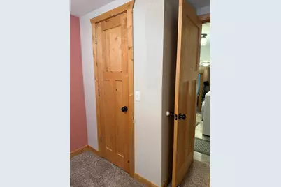 10456 S Ferris Avenue, Grant, MI 49327 - Photo 19