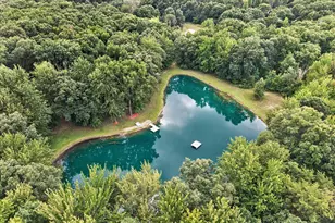 8235 E Jason Rd, Laingsburg, MI 48848 - Photo 47