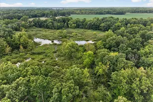 8235 E Jason Rd, Laingsburg, MI 48848 - Photo 61