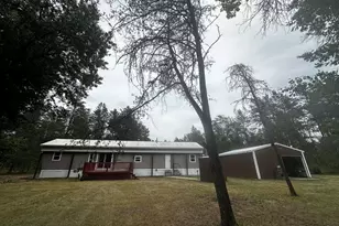 10595 N Twin Creek Rd, Irons, MI 49644 - Photo 5