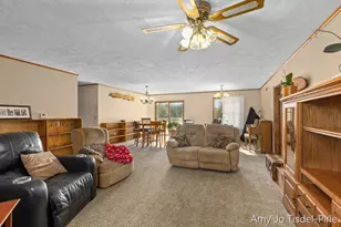 6643 S Wood Rd, Sheridan, MI 48884 - Photo 5