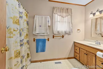 6643 S Wood Road, Sheridan, MI 48884 - Photo 17