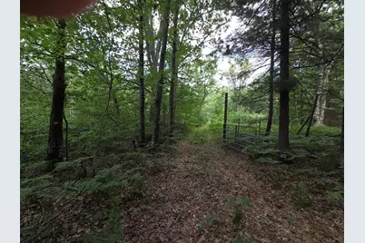 10622 W 7 Mile Road, Irons, MI 49644 - Photo 37