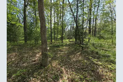 10622 W 7 Mile Road, Irons, MI 49644 - Photo 31