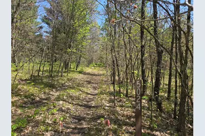 10622 W 7 Mile Road, Irons, MI 49644 - Photo 33