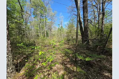 10622 W 7 Mile Road, Irons, MI 49644 - Photo 11