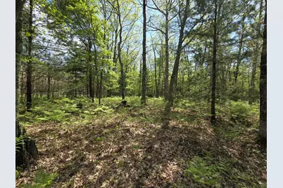 10622 W 7 Mile Road, Irons, MI 49644 - Photo 29