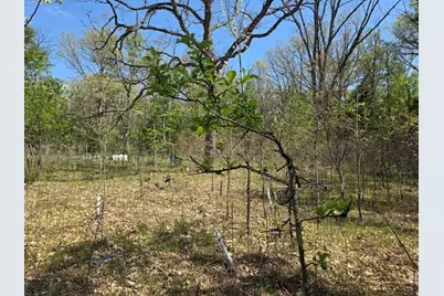 10622 W 7 Mile Road, Irons, MI 49644 - Photo 15