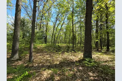 10622 W 7 Mile Road, Irons, MI 49644 - Photo 25