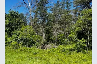 Parcel 1 M-37, Irons, MI 49644 - Photo 7
