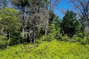 Parcel 1 M-37, Irons, MI 49644 - Photo 1