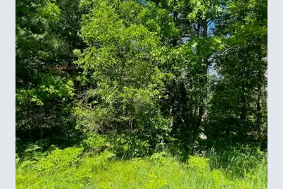 Parcel 1 M-37, Irons, MI 49644 - Photo 11