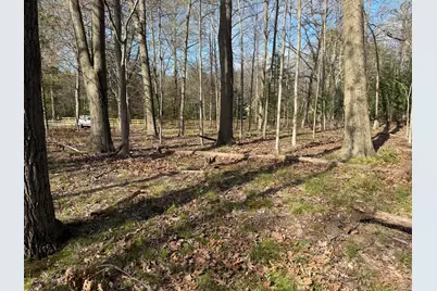 Abc Greenbush Road, Harbert, MI 49115 - Photo 3