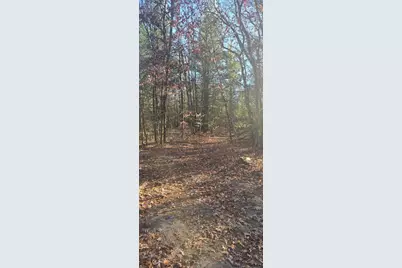 W Cedar Road, Twin Lake, MI 49457 - Photo 5