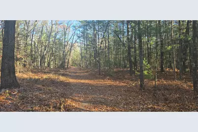 W Cedar Road, Twin Lake, MI 49457 - Photo 3