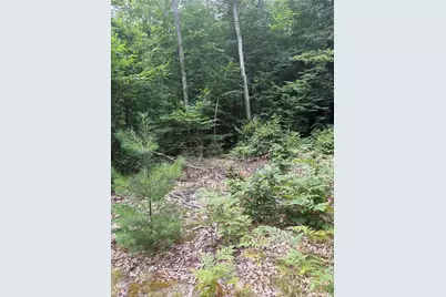 Vl 5 Mile Road, Morley, MI 49336 - Photo 27