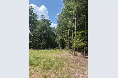 Vl 5 Mile Road, Morley, MI 49336 - Photo 149