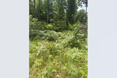 Vl 5 Mile Road, Morley, MI 49336 - Photo 127