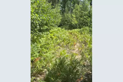 Vl 5 Mile Road, Morley, MI 49336 - Photo 115