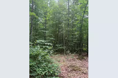 Vl 5 Mile Road, Morley, MI 49336 - Photo 31