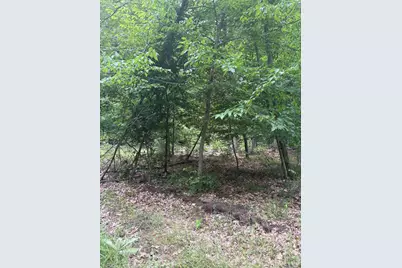Vl 5 Mile Road, Morley, MI 49336 - Photo 13