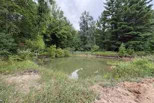 Vl 5 Mile Rd, Morley, MI 49336 - Photo 1