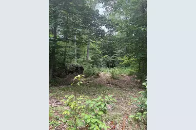 Vl 5 Mile Road, Morley, MI 49336 - Photo 15