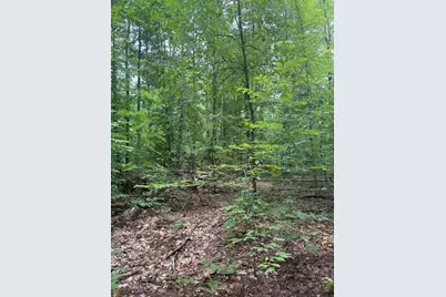 Vl 5 Mile Road, Morley, MI 49336 - Photo 67