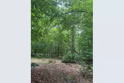 Vl 5 Mile Road, Morley, MI 49336 - Photo 29
