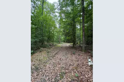 Vl 5 Mile Road, Morley, MI 49336 - Photo 55