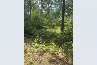 Vl 5 Mile Road, Morley, MI 49336 - Photo 123