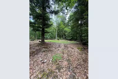 Vl 5 Mile Road, Morley, MI 49336 - Photo 73