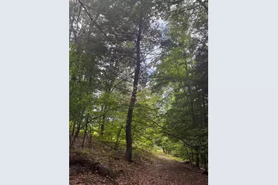 Vl 5 Mile Road, Morley, MI 49336 - Photo 139