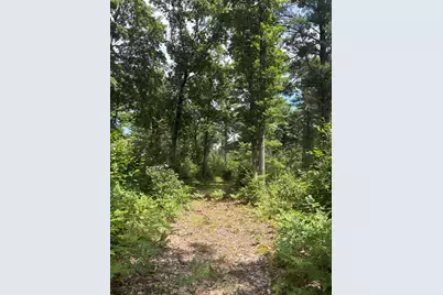 Vl 5 Mile Road, Morley, MI 49336 - Photo 121