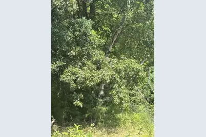 Vl 5 Mile Road, Morley, MI 49336 - Photo 159
