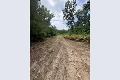 Vl 5 Mile Road, Morley, MI 49336 - Photo 89