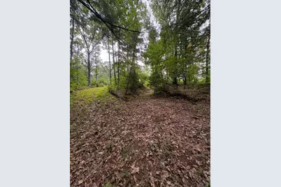 Vl 5 Mile Road, Morley, MI 49336 - Photo 85