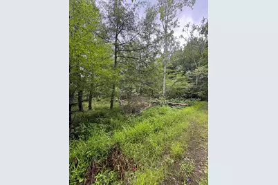 Vl 5 Mile Road, Morley, MI 49336 - Photo 81
