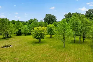 15510 Davis Dr, Addison, MI 49220 - Photo 91