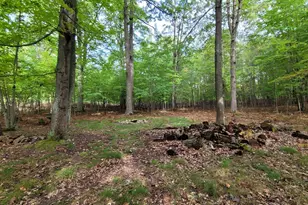 N Diablo, Pentwater, MI 49449 - Photo 1