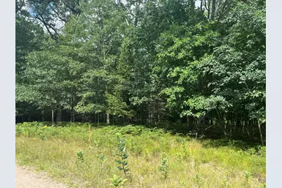 N Diablo, Pentwater, MI 49449 - Photo 9