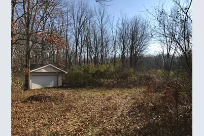 V/L McCain Road, Parma, MI 49269 - Photo 5