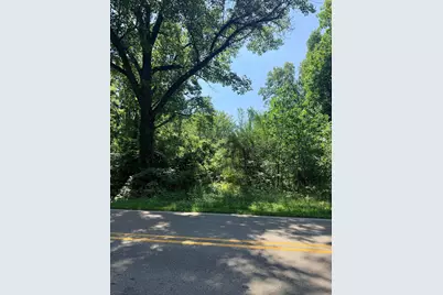 V/L McCain Road, Parma, MI 49269 - Photo 3