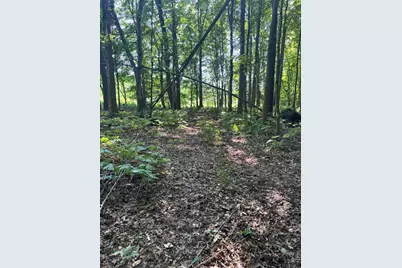 17 4th Street, Plainwell, MI 49080 - Photo 29