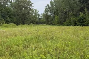 W Linco Road - Parcel, Stevensville, MI 49127 - Photo 1