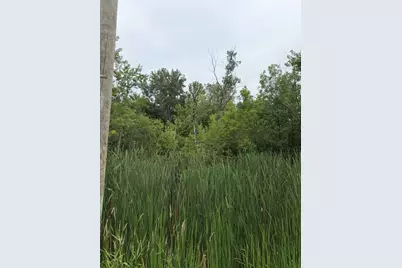 W. Linco Road - Parcel #3-C, Stevensville, MI 49127 - Photo 1