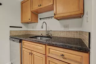 541 Long Shr Dr, Ann Arbor, MI 48105 - Photo 11