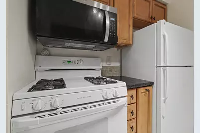 541 Long Shore Drive, Ann Arbor, MI 48105 - Photo 13