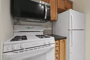 541 Long Shr Dr, Ann Arbor, MI 48105 - Photo 13