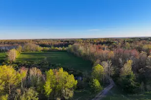 17463 15 Mile Rd, Leroy, MI 49655 - Photo 43